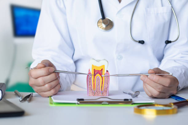 Best Cosmetic Emergency Dentistry in Chamblee, GA